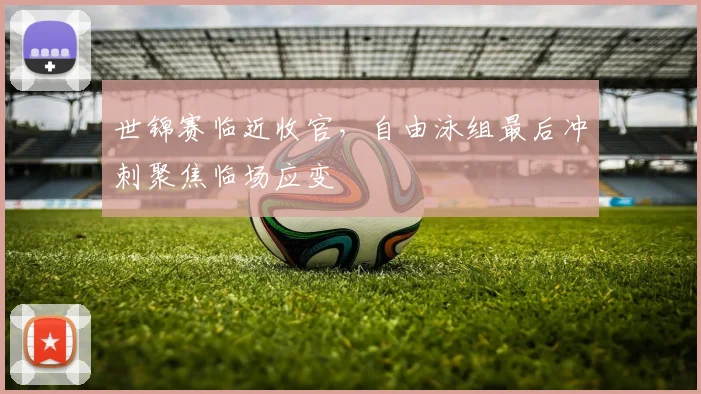 世锦赛临近收官，自由泳组最后冲刺聚焦临场应变